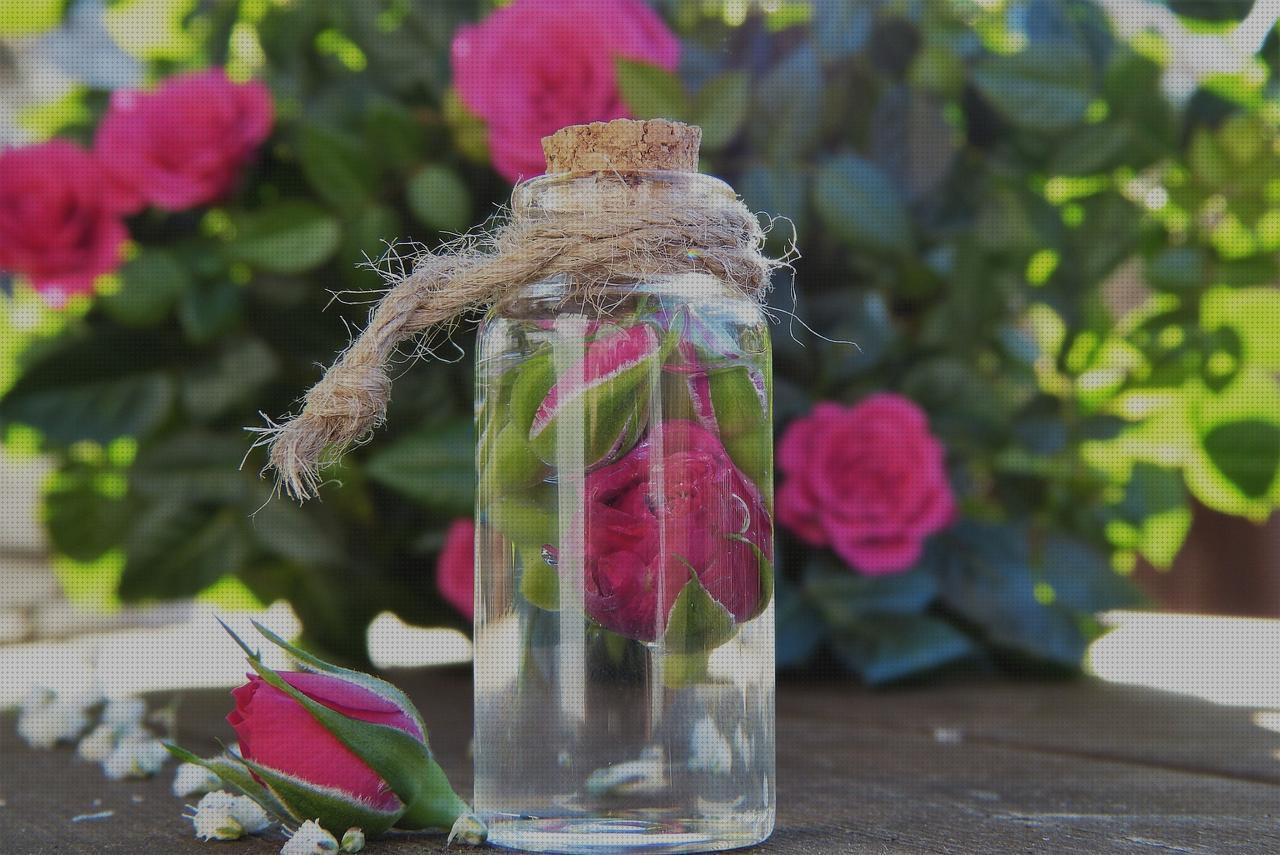 Las mejores marcas de perfumes agua de perfumes hombre