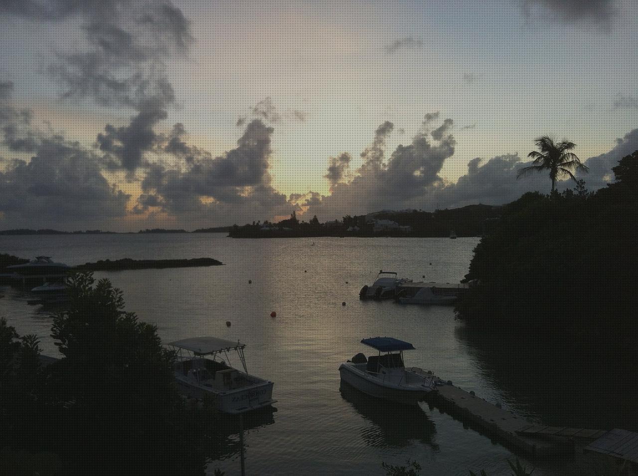 Análisis de los 7 mejores Bermuda Marinos De Hombres