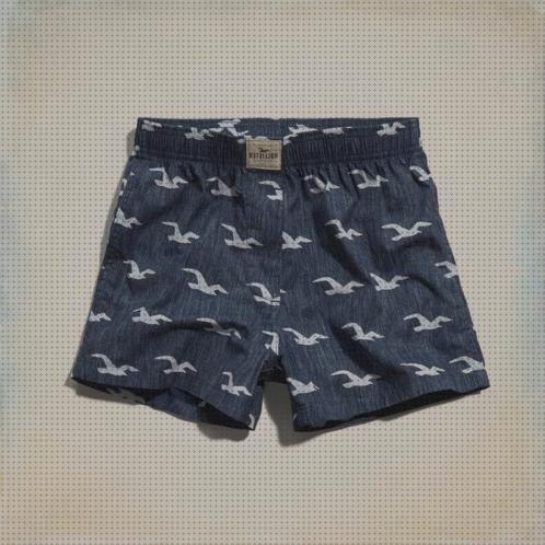 Opiniones de los 22 mejores Boxer Hollister De Hombres