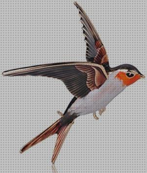 Las mejores broches broches alfileres pluma hombre