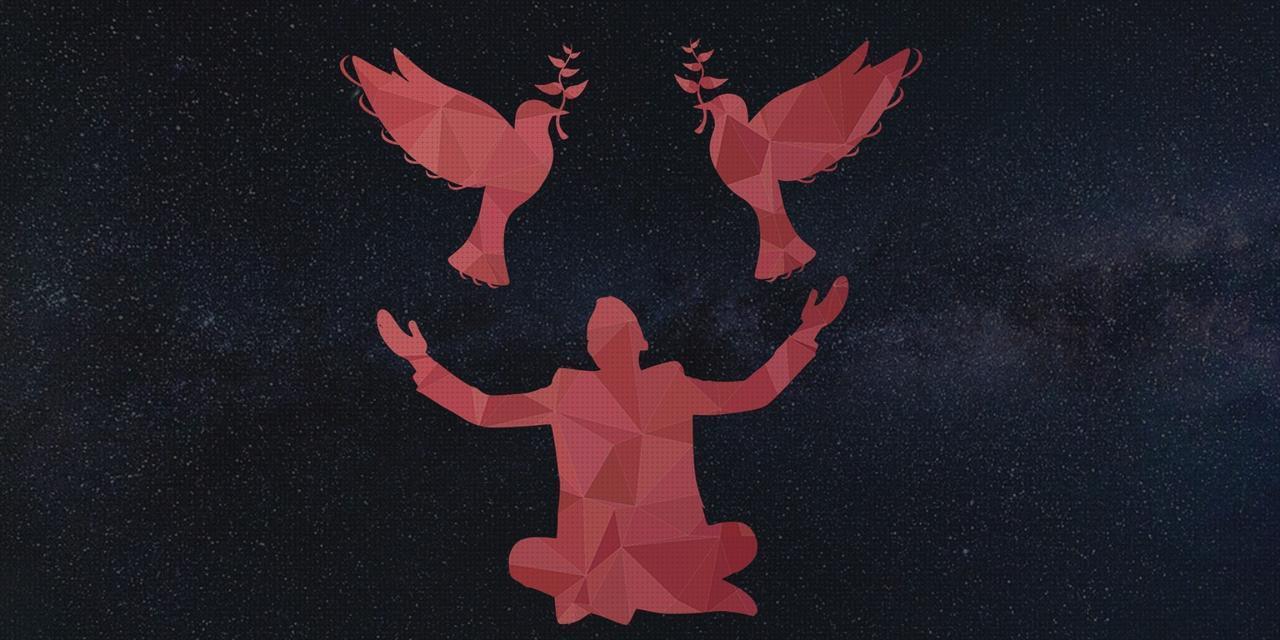 Las mejores 8 Camisetas Pajaros De Hombres