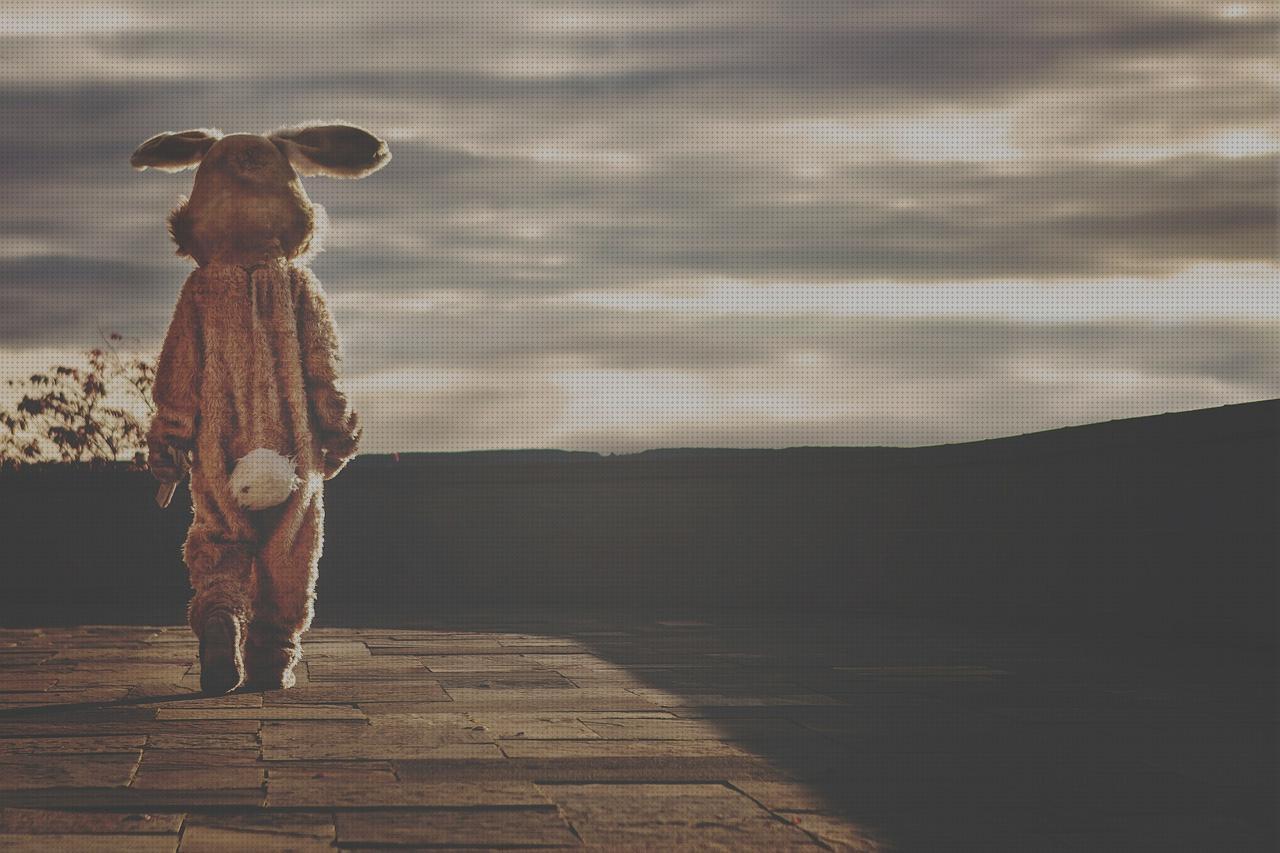 Las mejores joker disfraz joker hombre