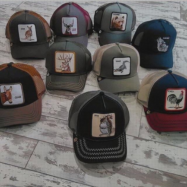Análisis de las 14 mejores Gorras De Hombres Animales