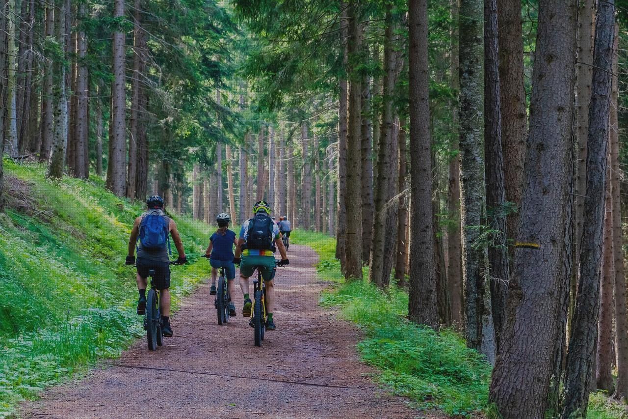 Las mejores bike mountain bike hombre