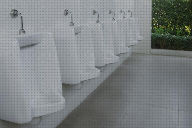Mejores 12 orinales para hombres