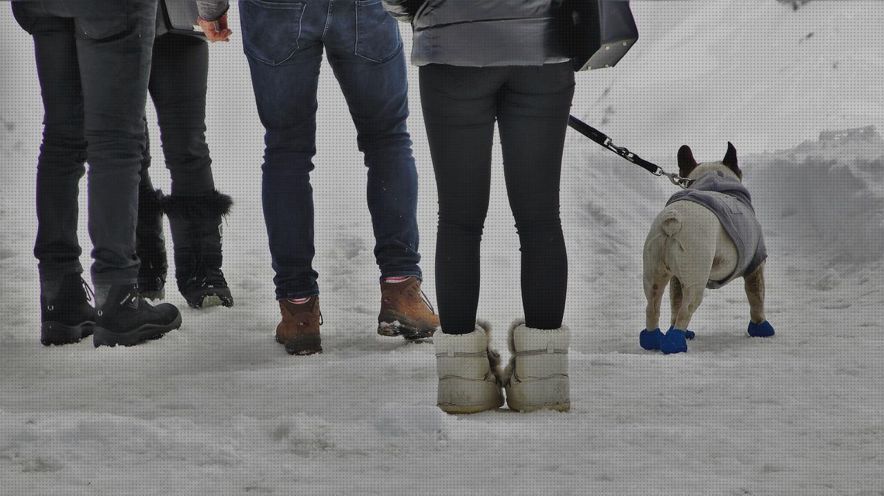 Las mejores pantalones pantalon nieve hombre