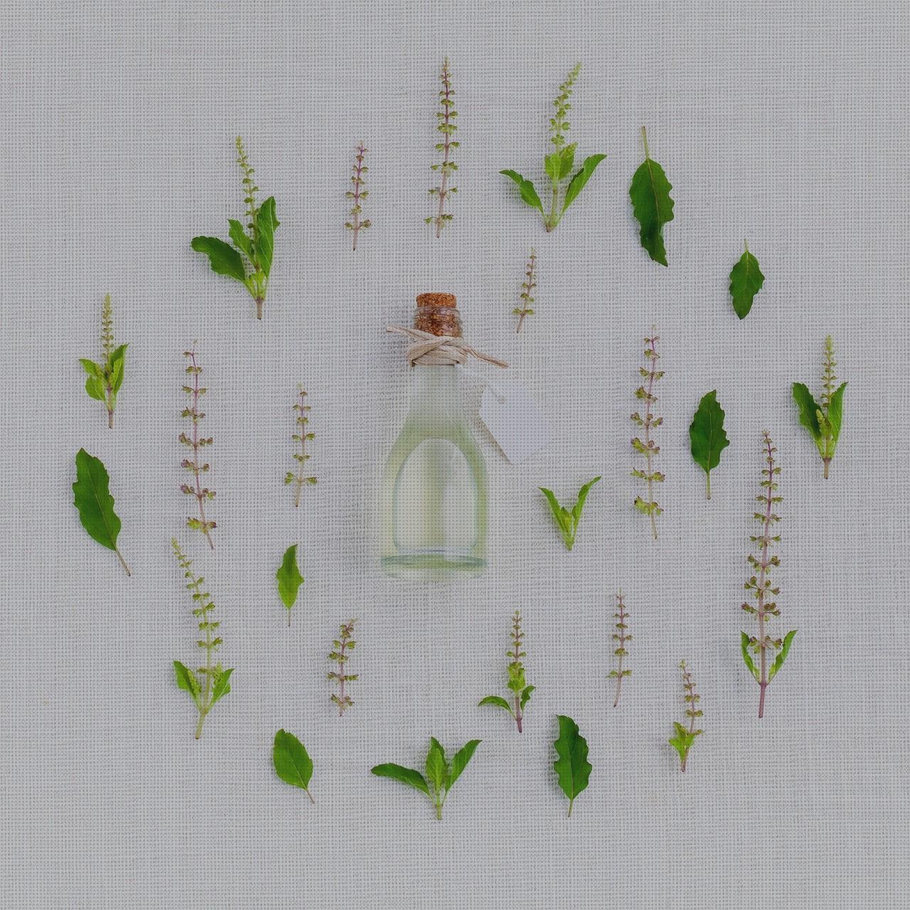 Opiniones de los 17 mejores Perfumes Bambu De Hombres