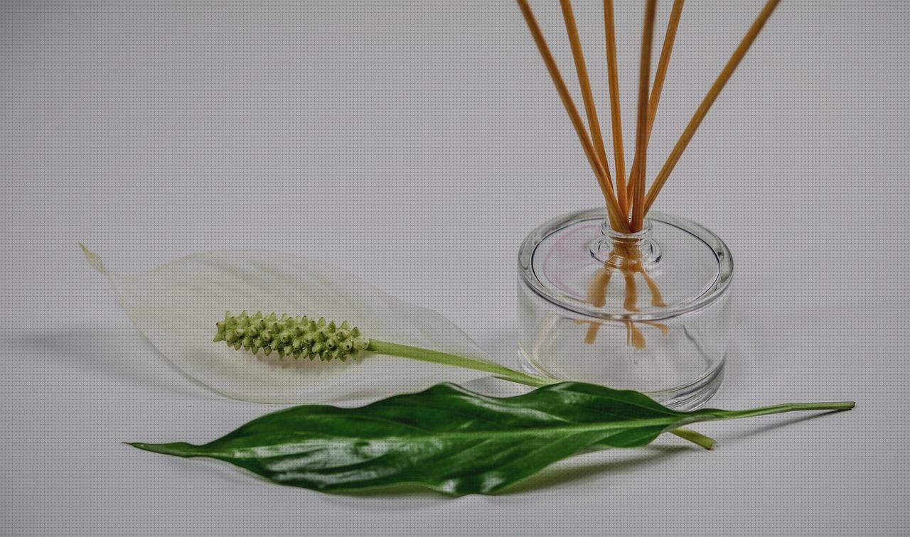 Review de perfumes frescos hombre