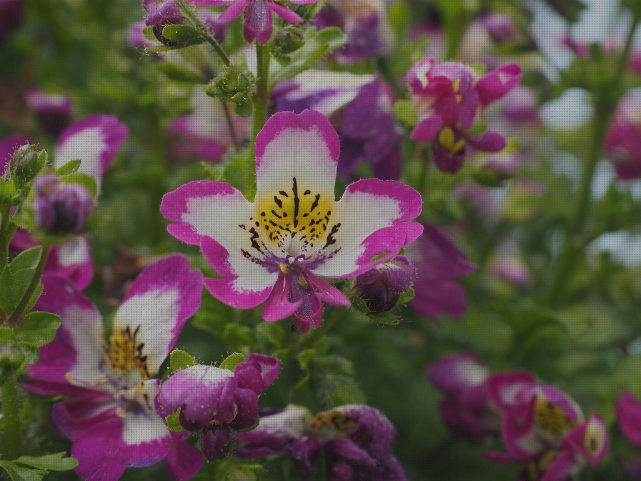 Las mejores marcas de camisa flores hombre Más sobre perfume dior hombre ropa hombre en flores