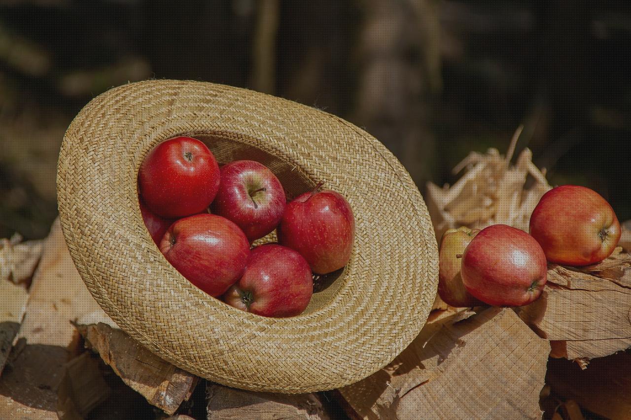 Los 18 Mejores Sombreros De Pajas De Caballeros