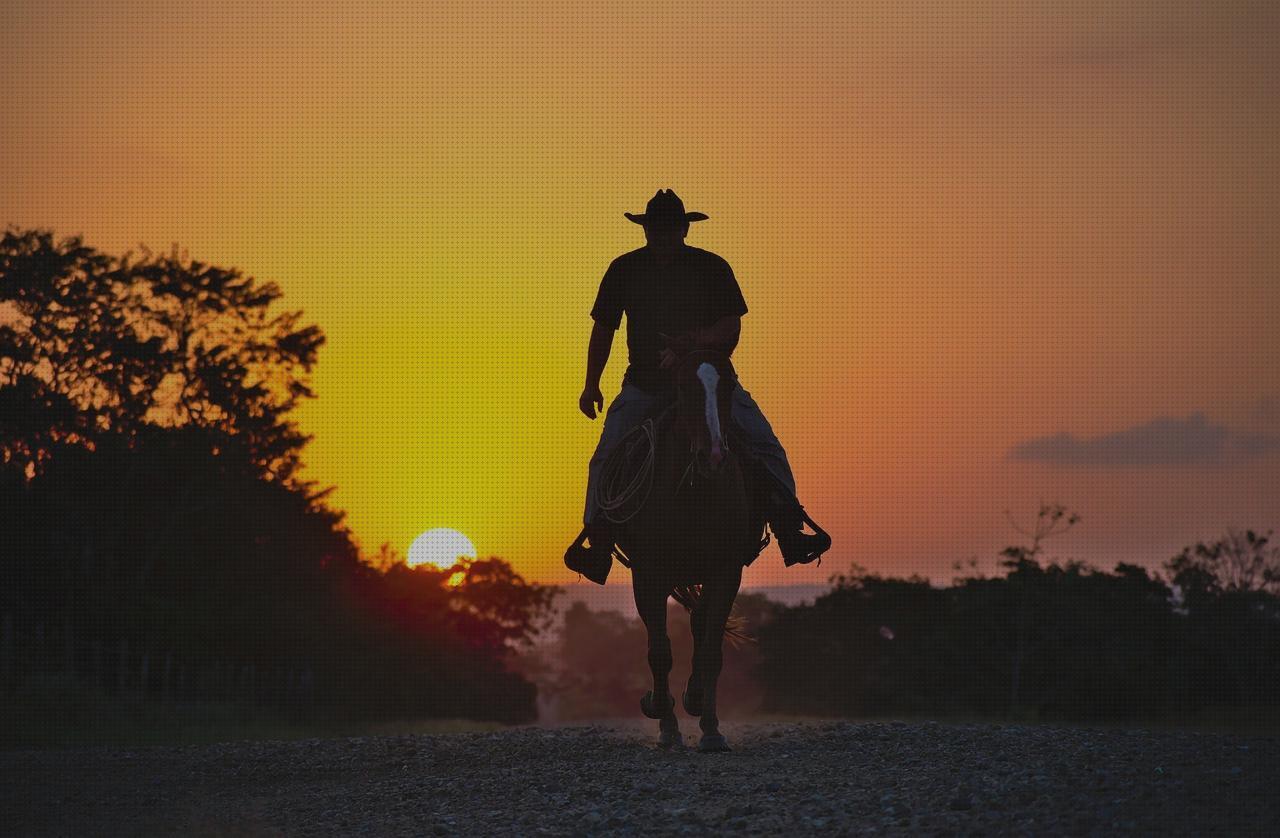 Opiniones de los 10 mejores Sombreros De Veranos De Hombres