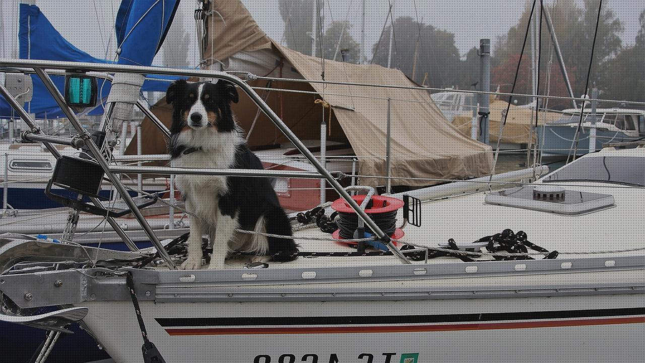 Review de yacht man hombre