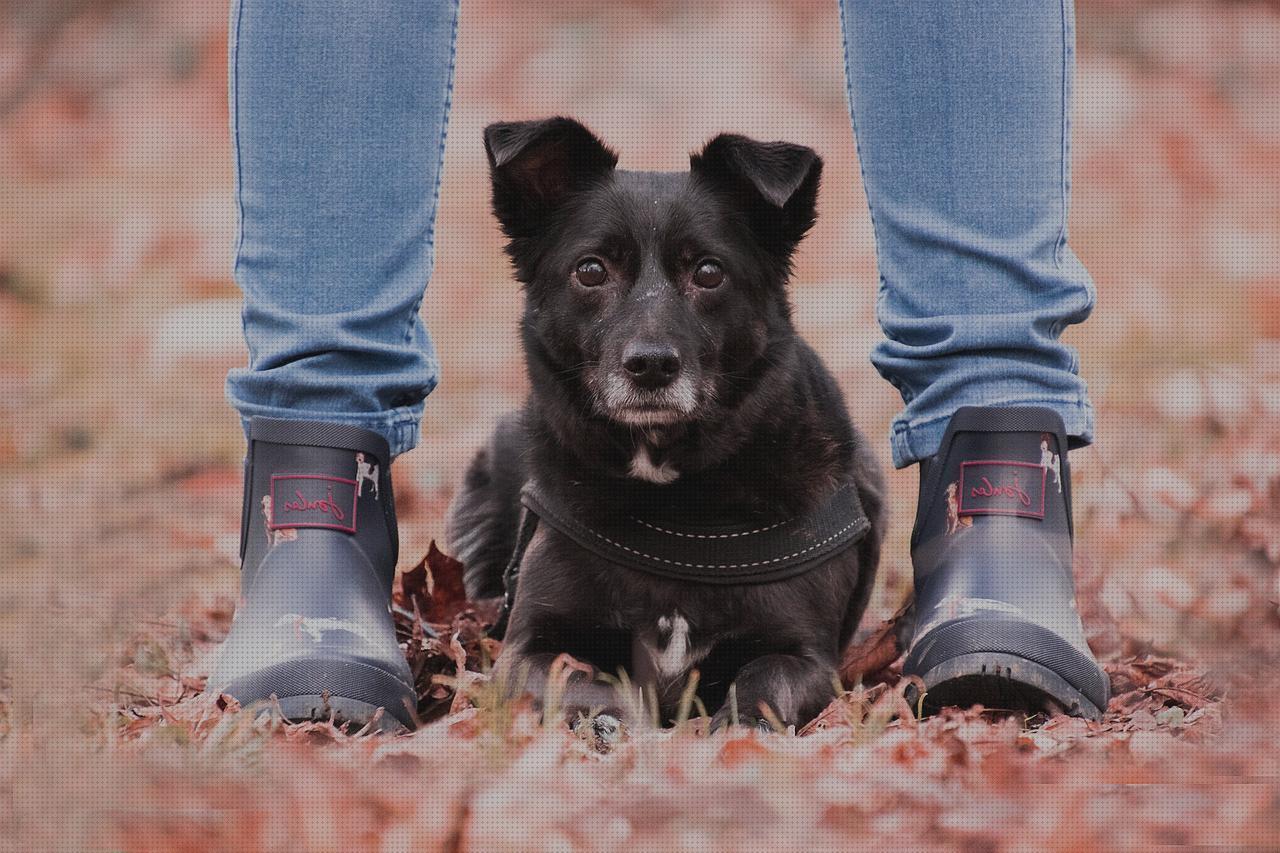 Review de zapatos botines hombre ofertas